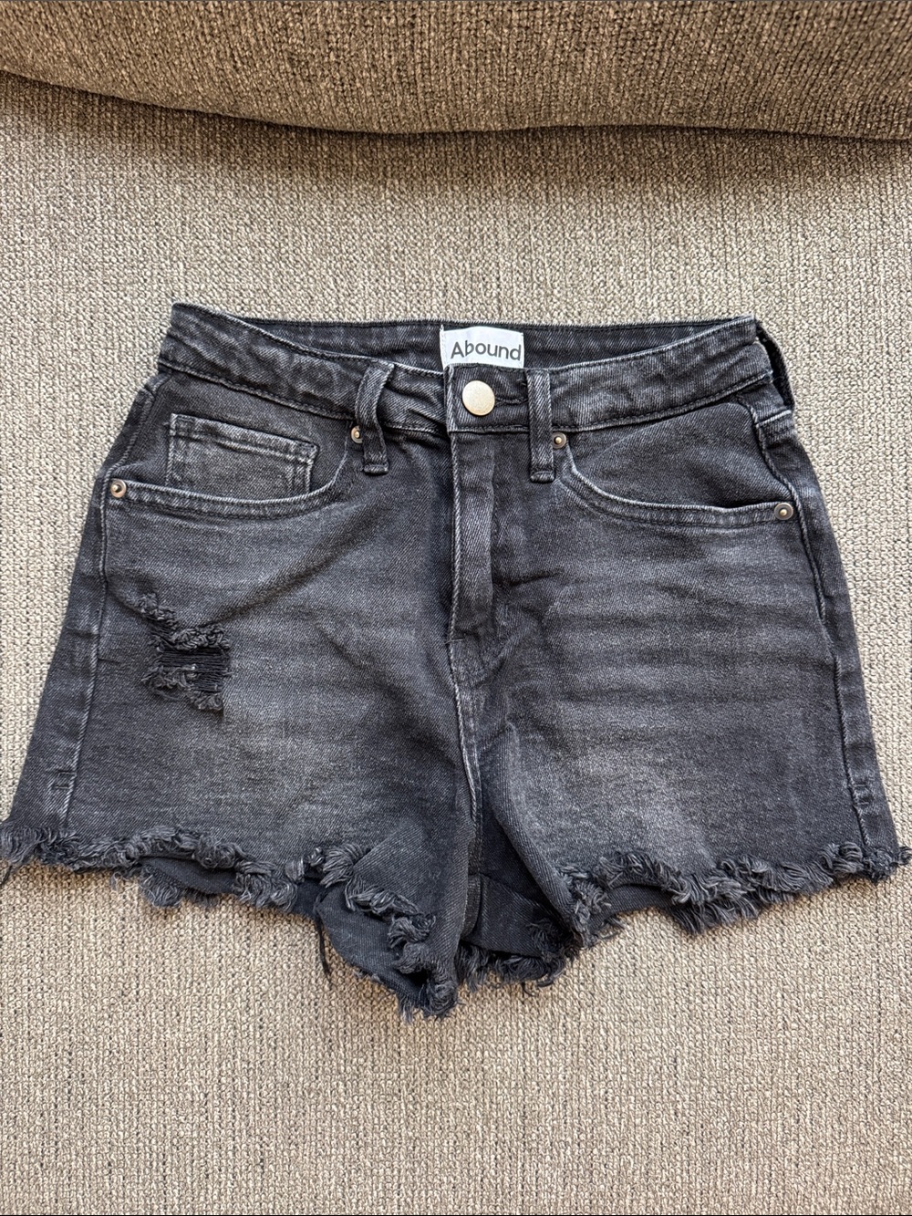 Cutoff Denim Shorts